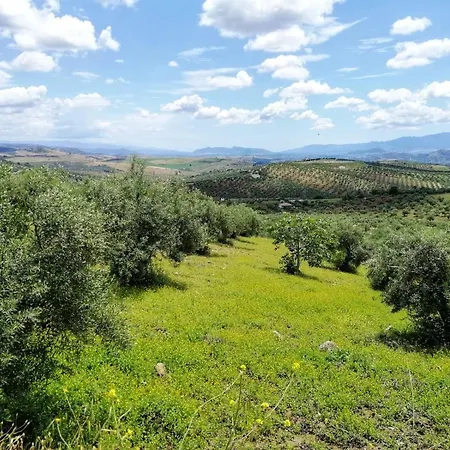 Casa Proyecto Pepe Bravo فندق مبيت وإفطار 3*