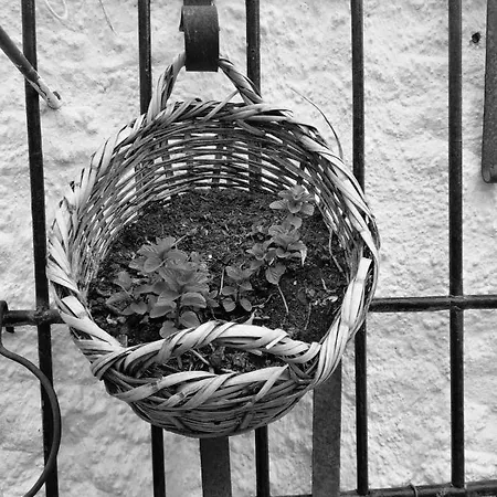 Casa Proyecto Pepe Bravo Alozaina