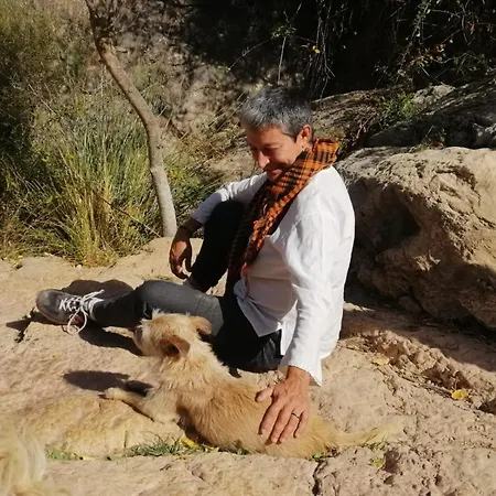 Casa Proyecto Pepe Bravo Отель типа 