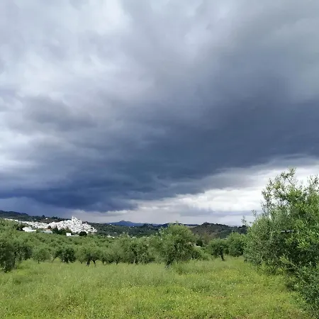 Casa Proyecto Pepe Bravo فندق مبيت وإفطار 3*