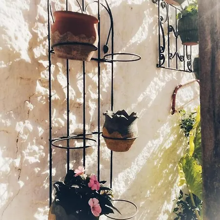 Casa Proyecto Pepe Bravo - Arte De Manos Y Corazón Bed and breakfast *