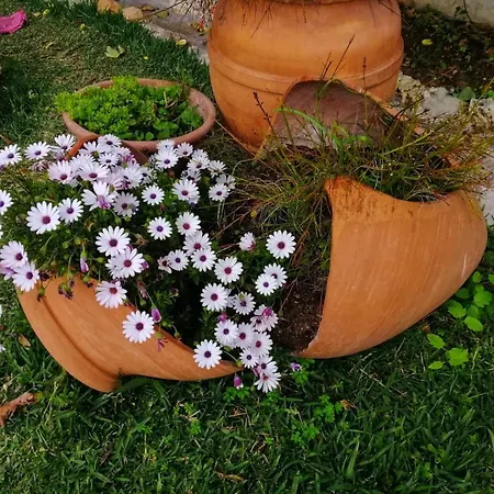 Casa Proyecto Pepe Bravo Отель типа 