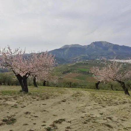 Casa Proyecto Pepe Bravo